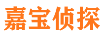 梁园市侦探调查公司